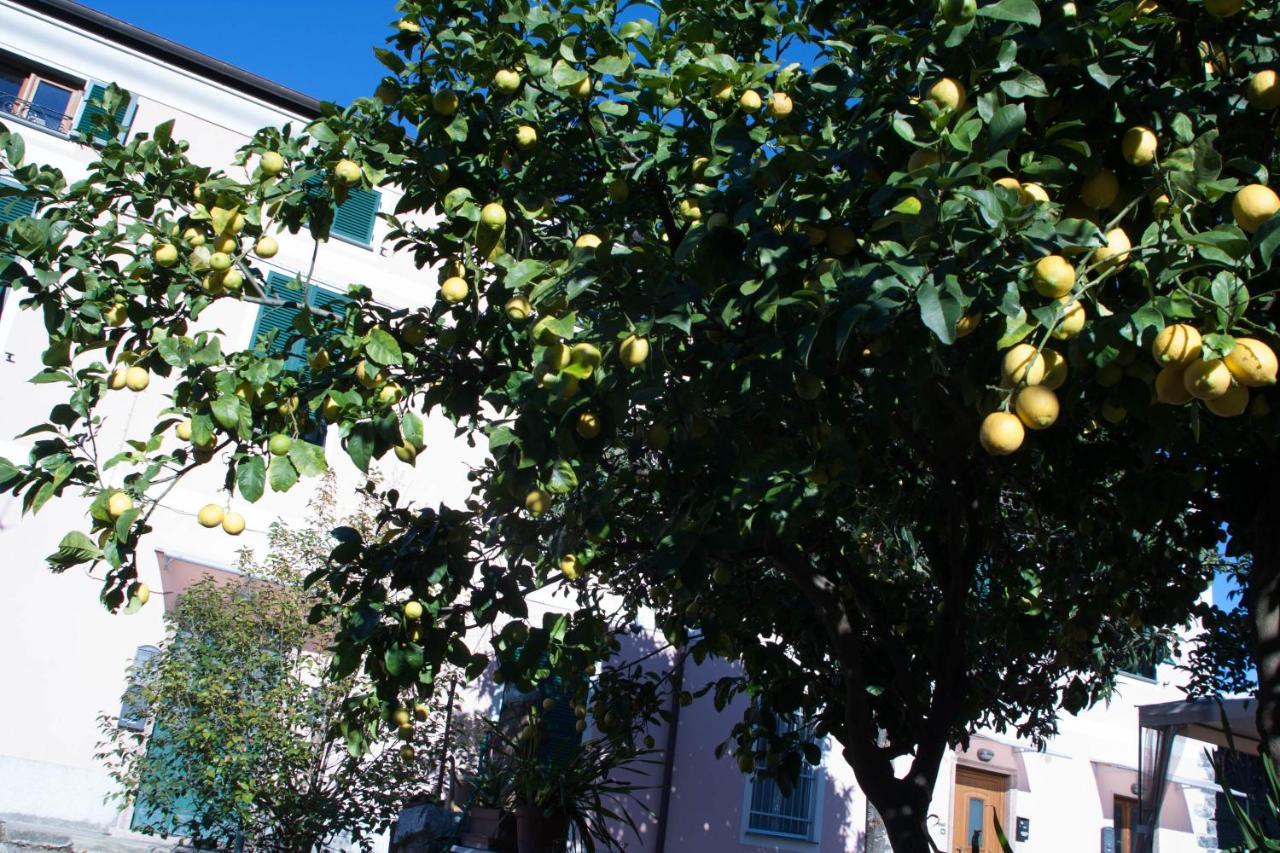 Appartamento Sole&Mare Levanto Dış mekan fotoğraf